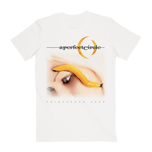 Thirteenth Step Album Tee